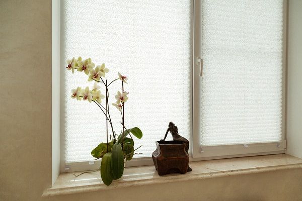 mikeslabrador.hu2.18apr